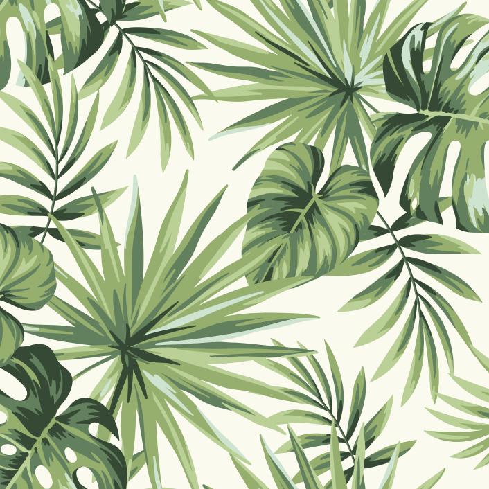 Papier peint feuillage tropical monstera vert