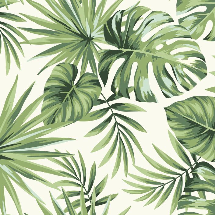 Papier peint feuillage tropical monstera vert