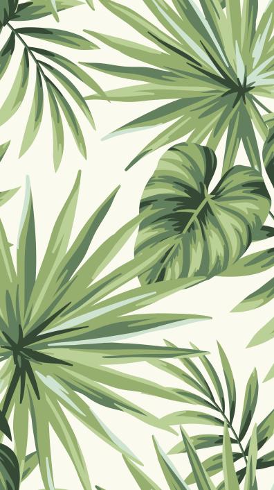 Papier peint feuillage tropical monstera vert