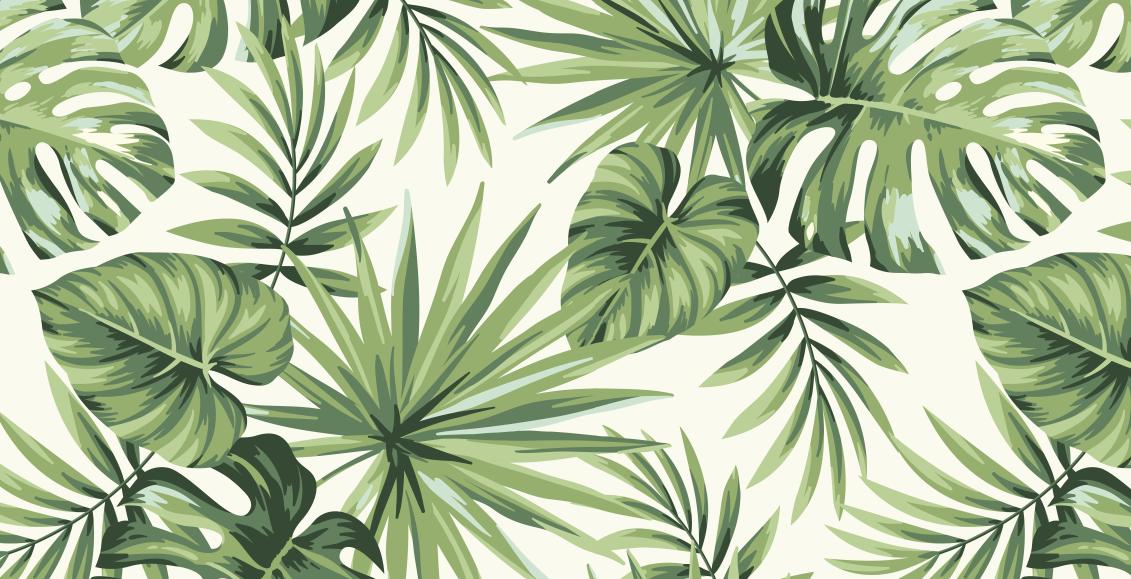 Papier peint feuillage tropical monstera vert