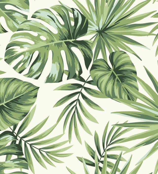 Papier peint feuillage tropical monstera vert