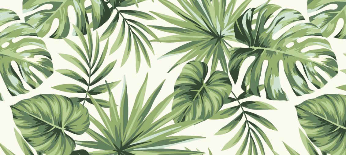 Papier peint feuillage tropical monstera vert