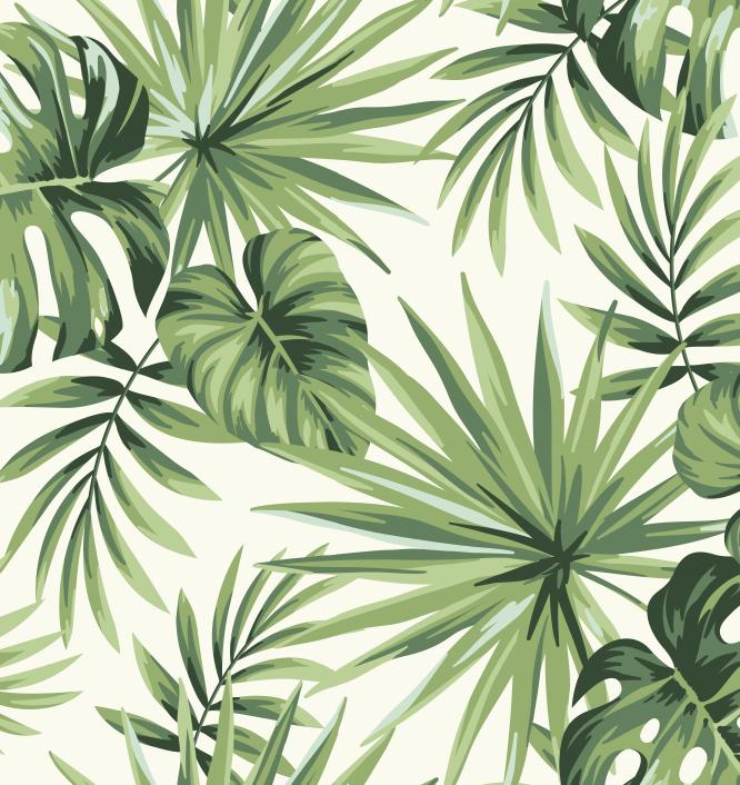 Papier peint feuillage tropical monstera vert