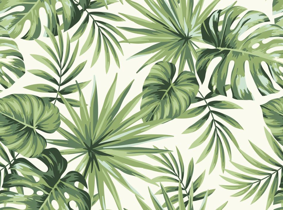Papier peint feuillage tropical monstera vert