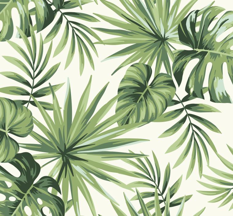 Papier peint feuillage tropical monstera vert
