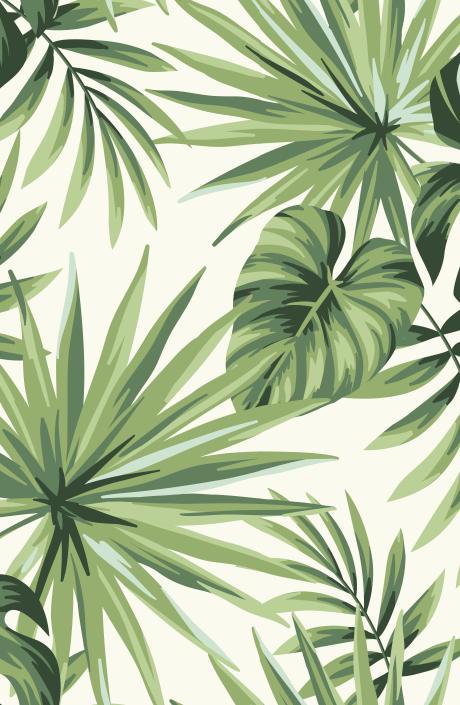Papier peint feuillage tropical monstera vert