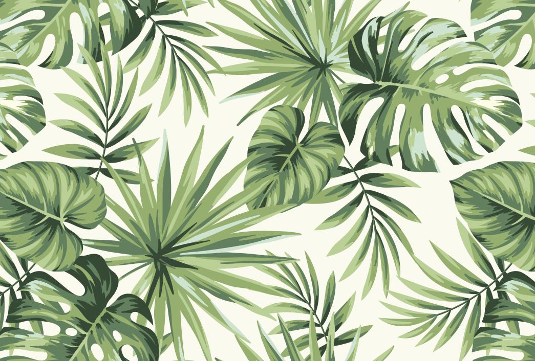 Papier peint feuillage tropical monstera vert