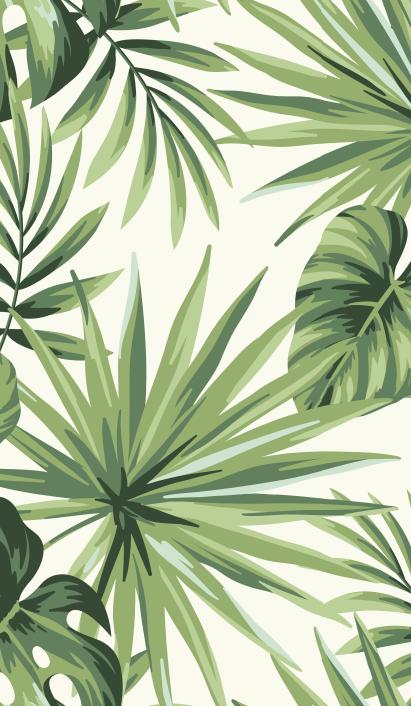 Papier peint feuillage tropical monstera vert