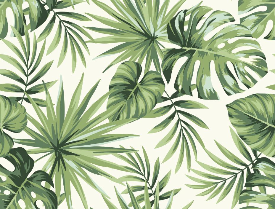 Papier peint feuillage tropical monstera vert