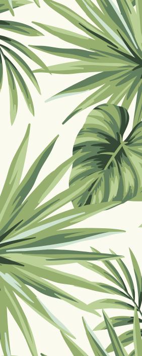 Papier peint feuillage tropical monstera vert