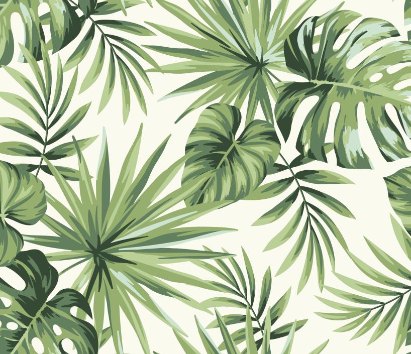 Papier peint feuillage tropical monstera vert