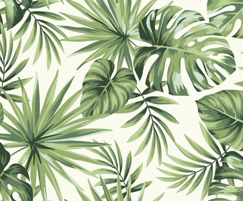 Papier peint feuillage tropical monstera vert