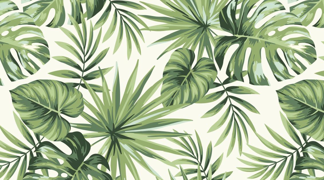 Papier peint feuillage tropical monstera vert