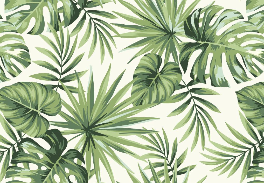 Papier peint feuillage tropical monstera vert