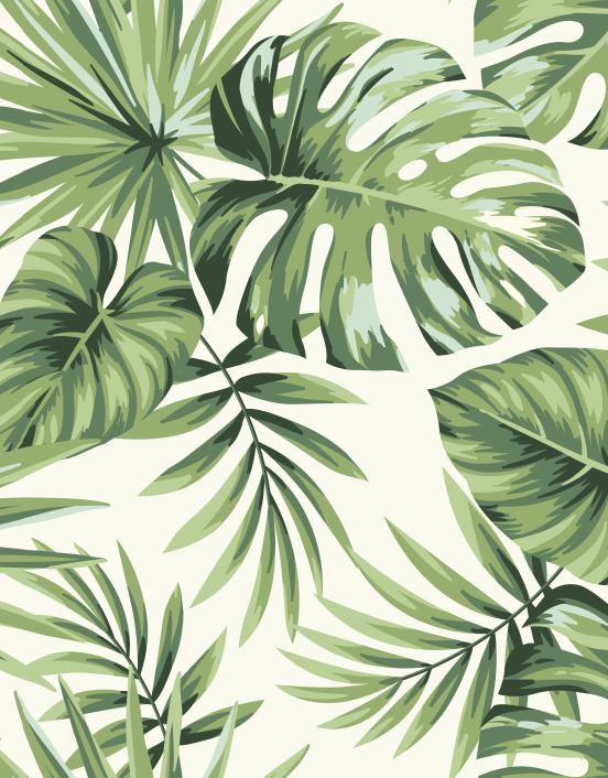 Papier peint feuillage tropical monstera vert