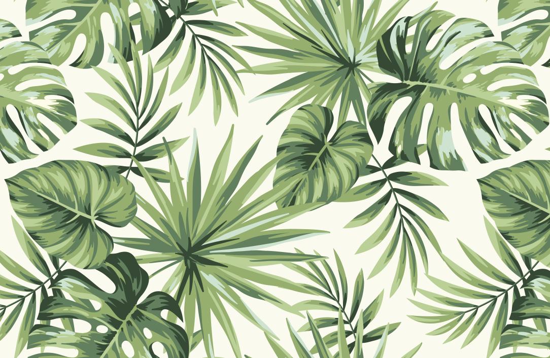 Papier peint feuillage tropical monstera vert