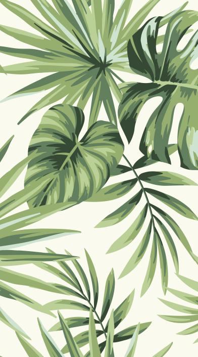 Papier peint feuillage tropical monstera vert