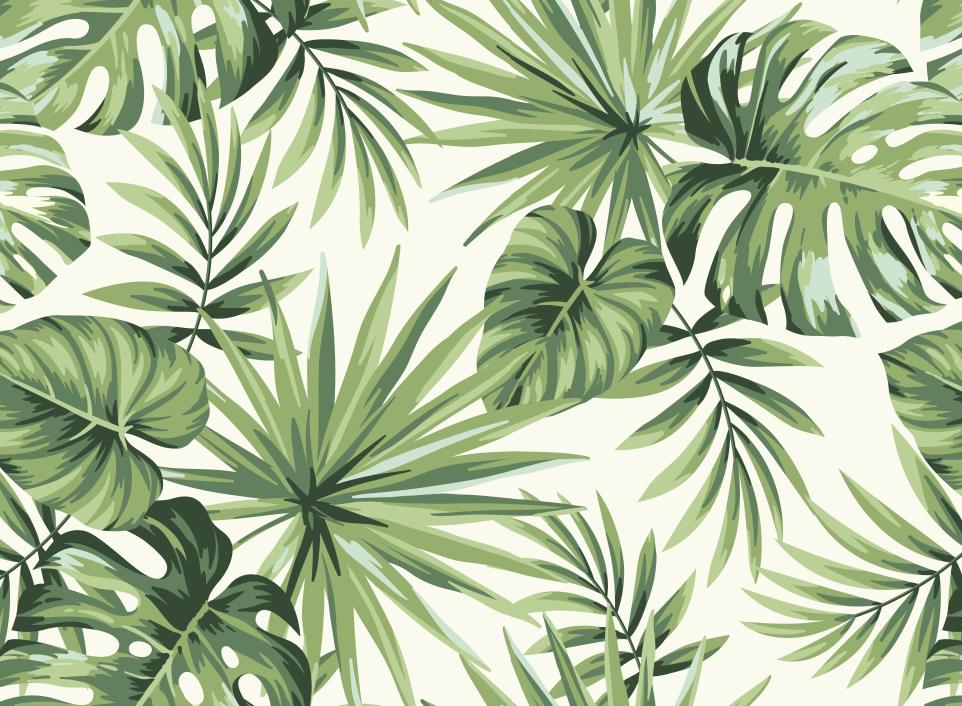 Papier peint feuillage tropical monstera vert