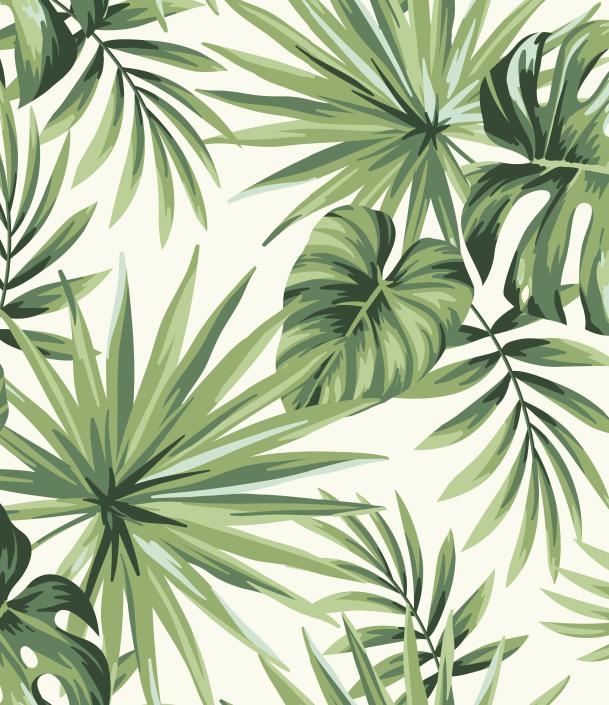 Papier peint feuillage tropical monstera vert