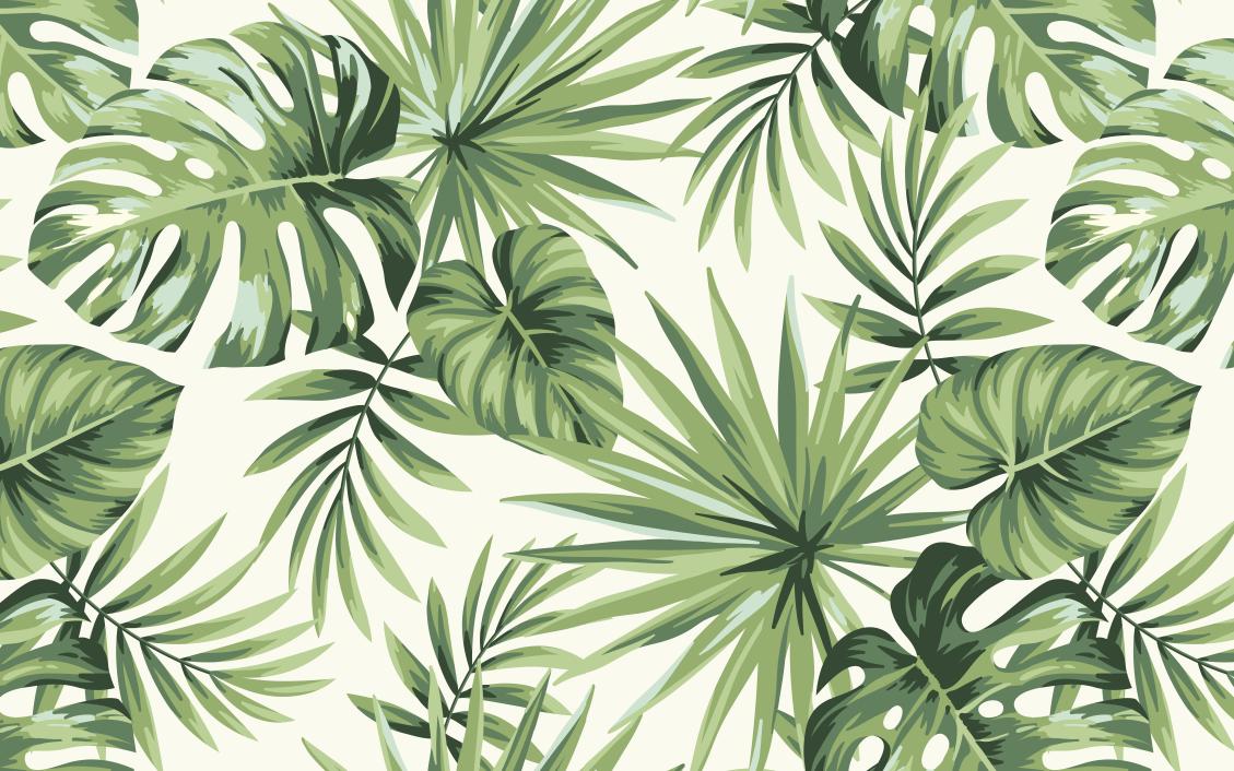 Papier peint feuillage tropical monstera vert