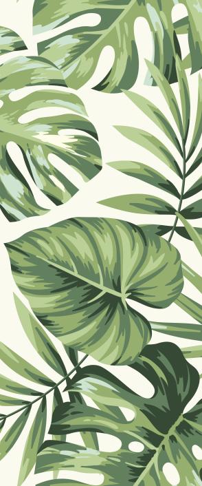Papier peint feuillage tropical monstera vert