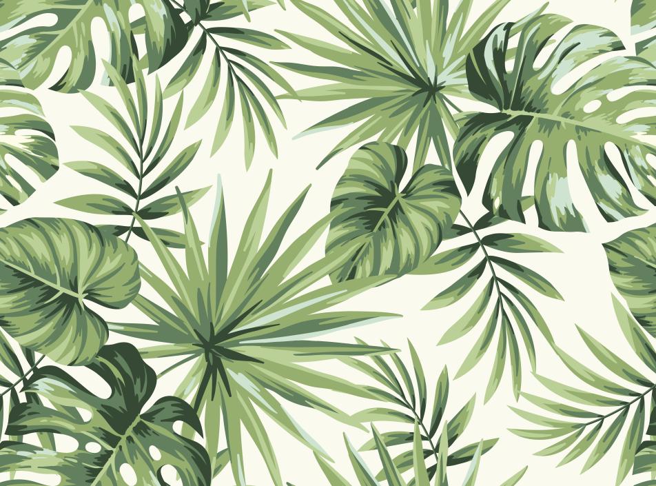 Papier peint feuillage tropical monstera vert