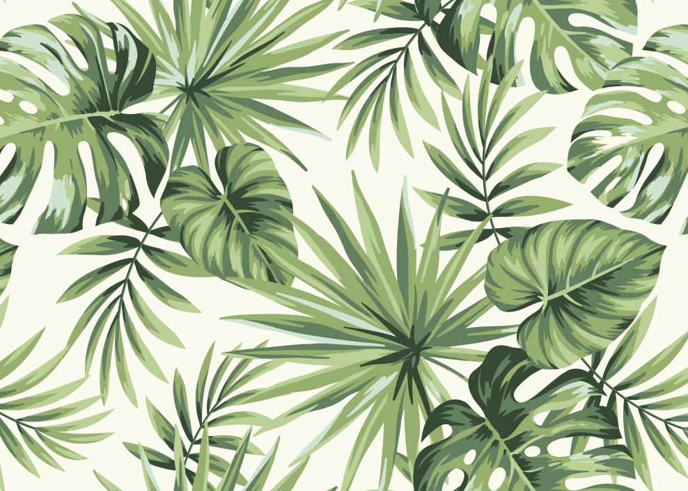 Papier peint feuillage tropical monstera vert