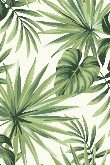 Papier peint feuillage tropical monstera vert