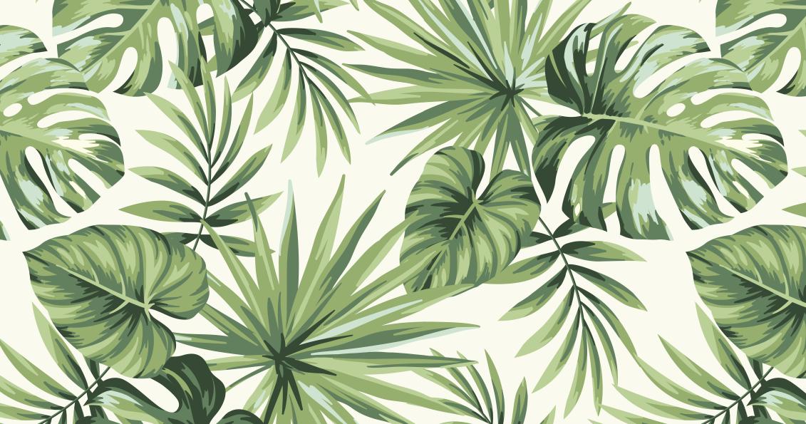 Papier peint feuillage tropical monstera vert