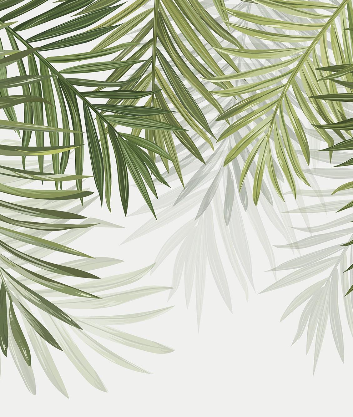 Papier peint feuillage vert feuilles de palmier