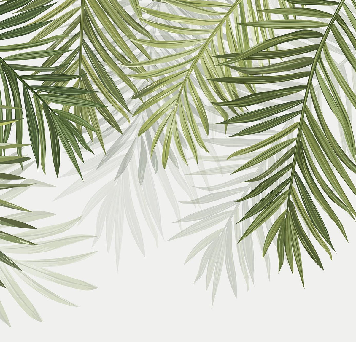 Papier peint feuillage vert feuilles de palmier