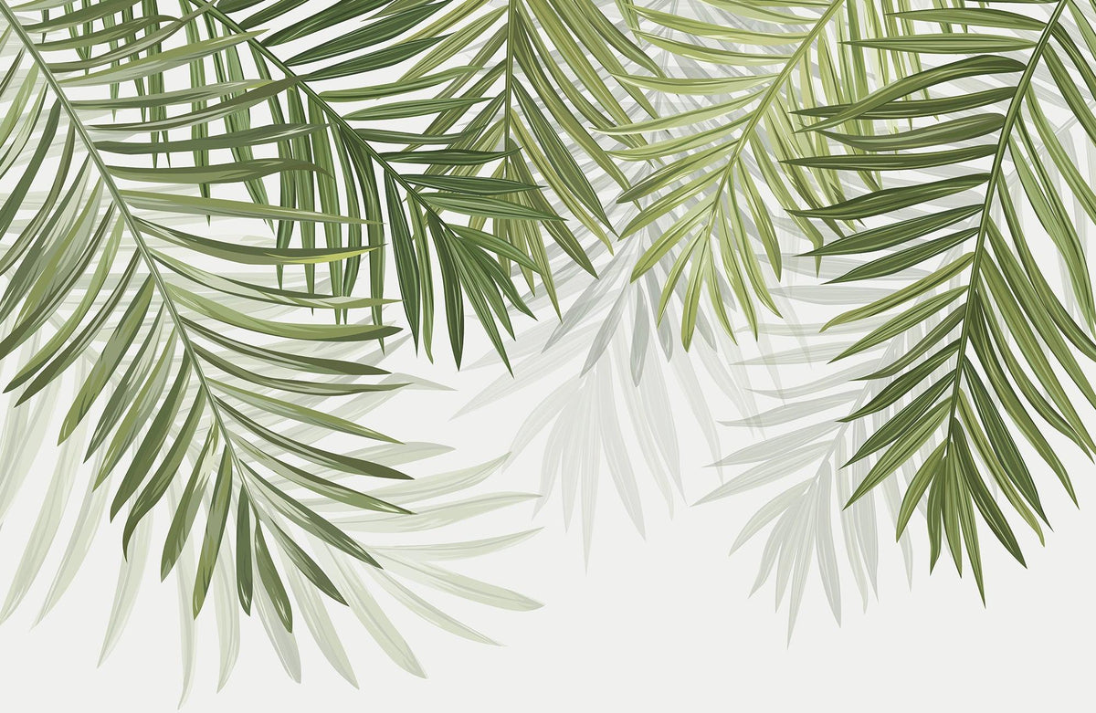 Papier peint feuillage vert feuilles de palmier