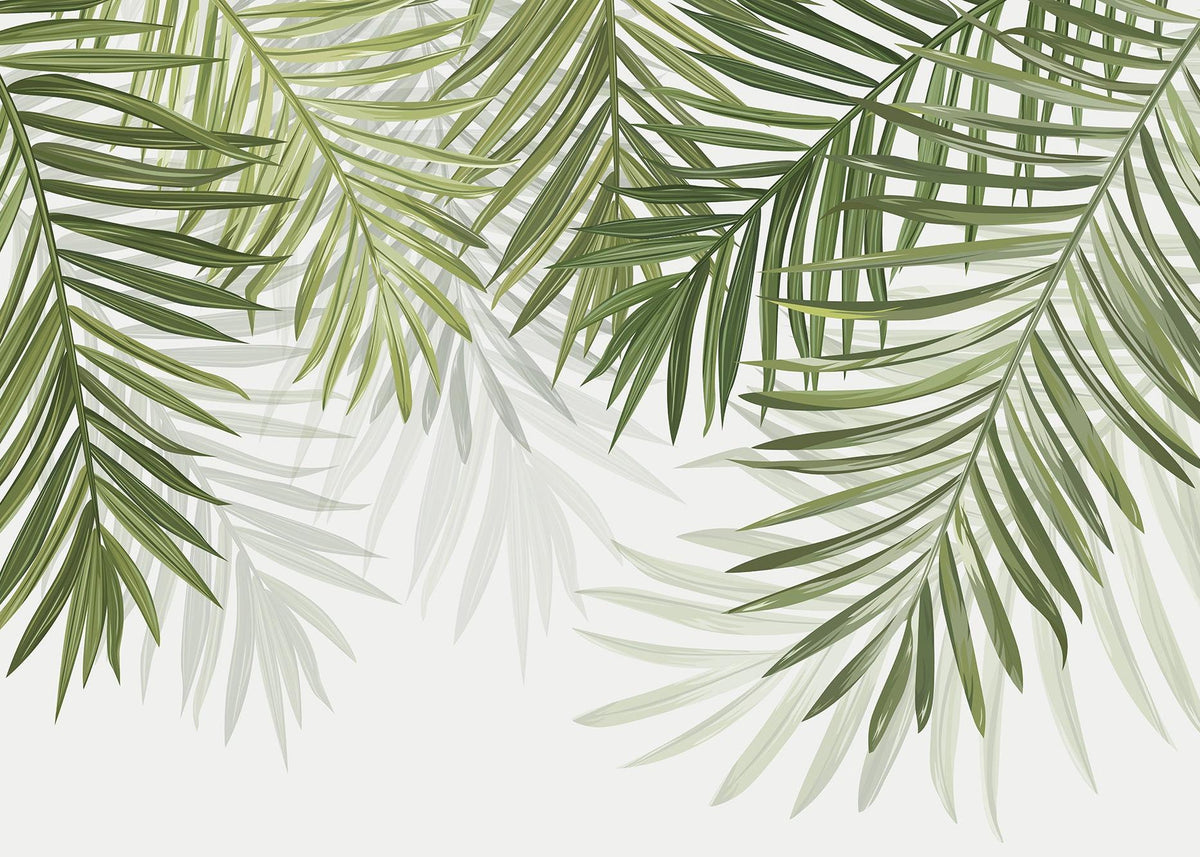 Papier peint feuillage vert feuilles de palmier