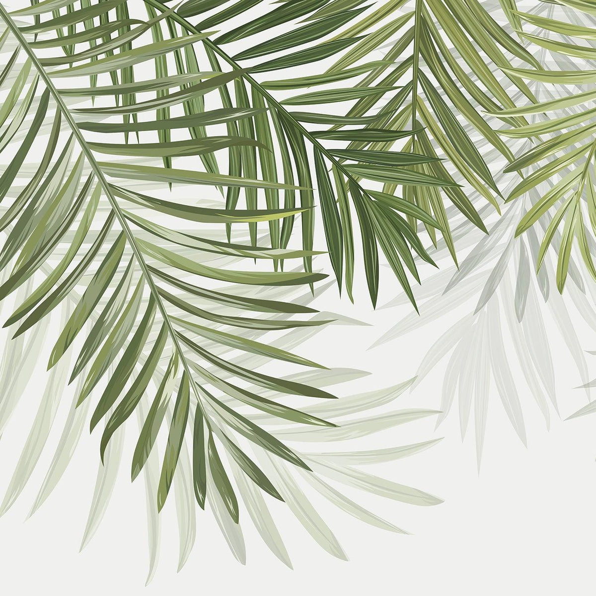 Papier peint feuillage vert feuilles de palmier