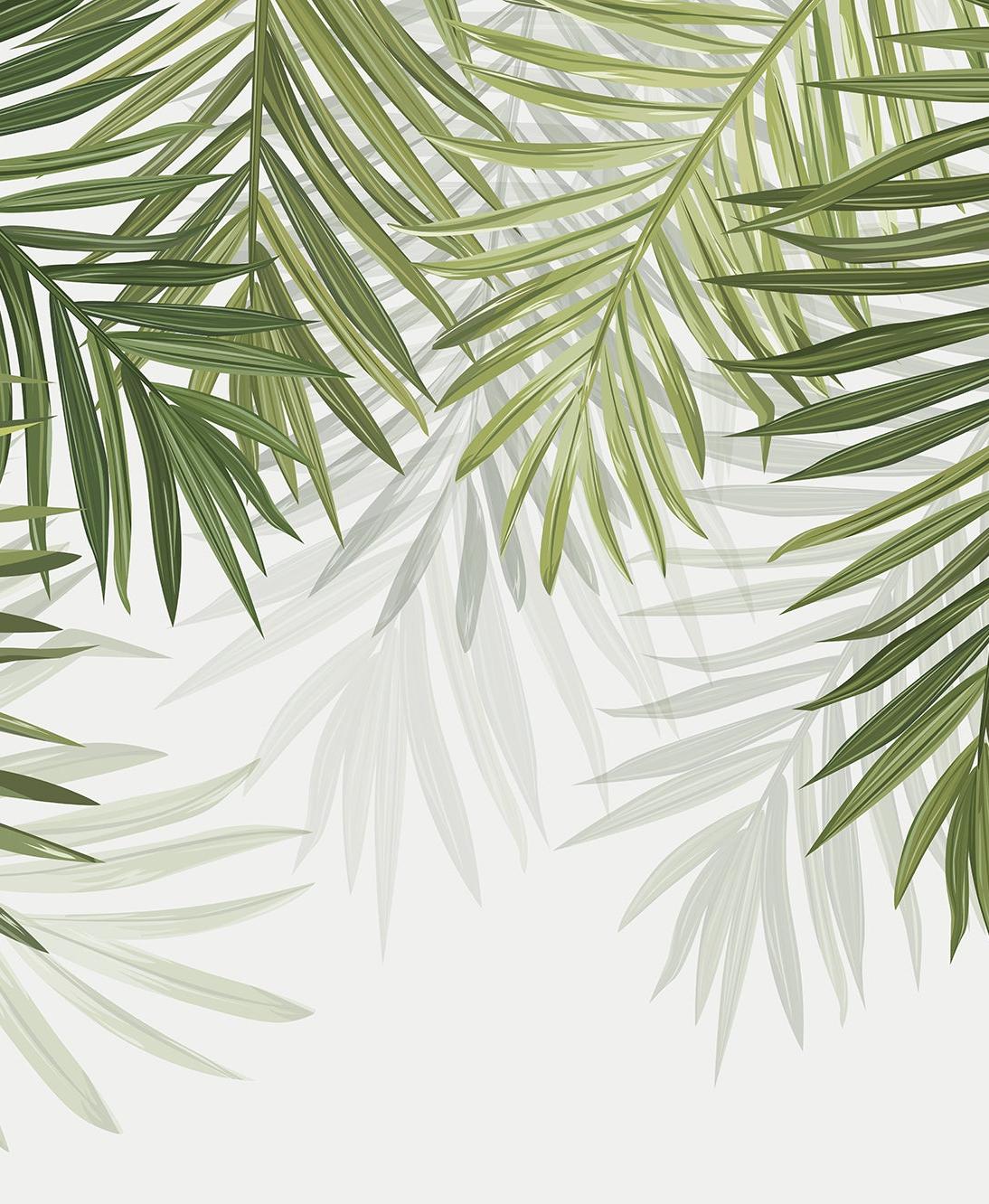 Papier peint feuillage vert feuilles de palmier