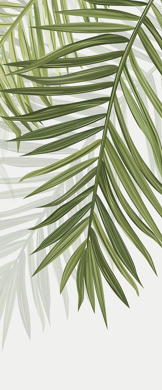 Papier peint feuillage vert feuilles de palmier