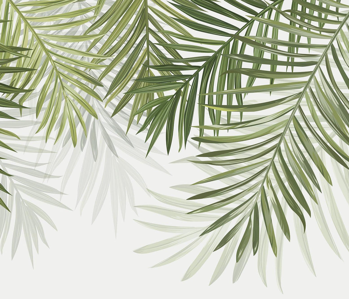 Papier peint feuillage vert feuilles de palmier