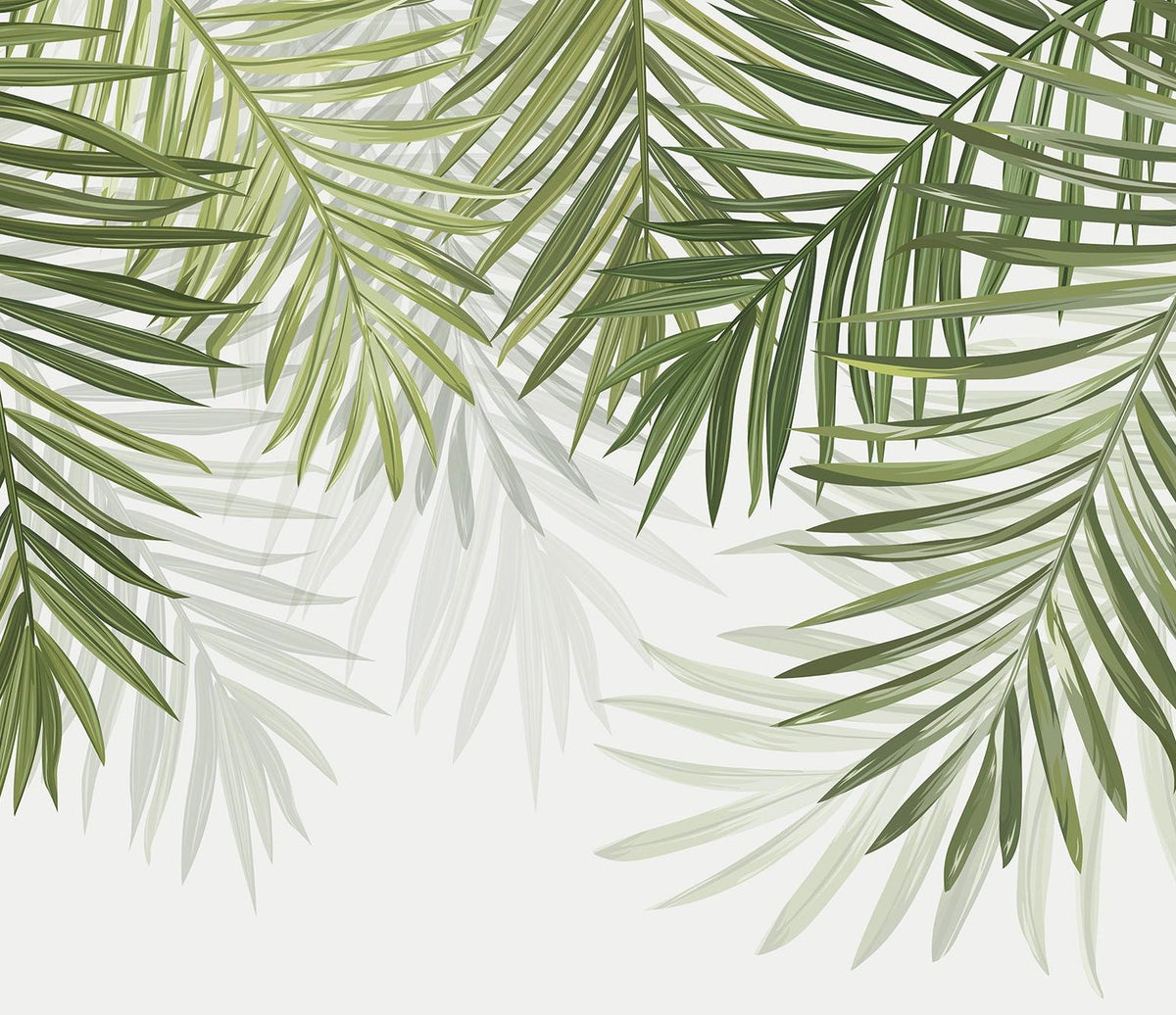 Papier peint feuillage vert feuilles de palmier