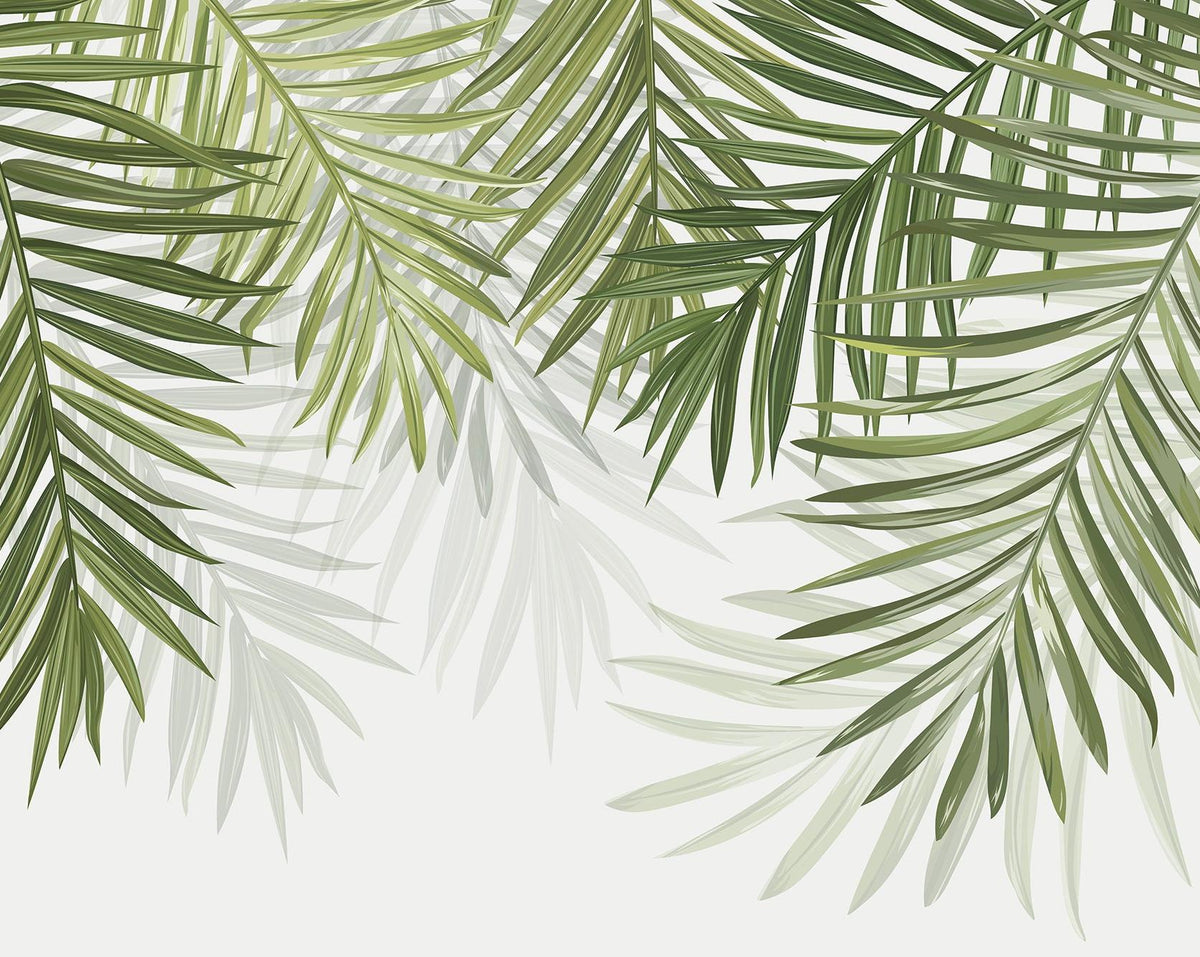Papier peint feuillage vert feuilles de palmier