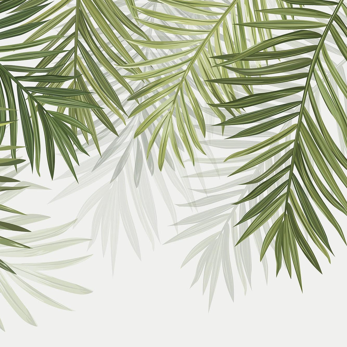 Papier peint feuillage vert feuilles de palmier