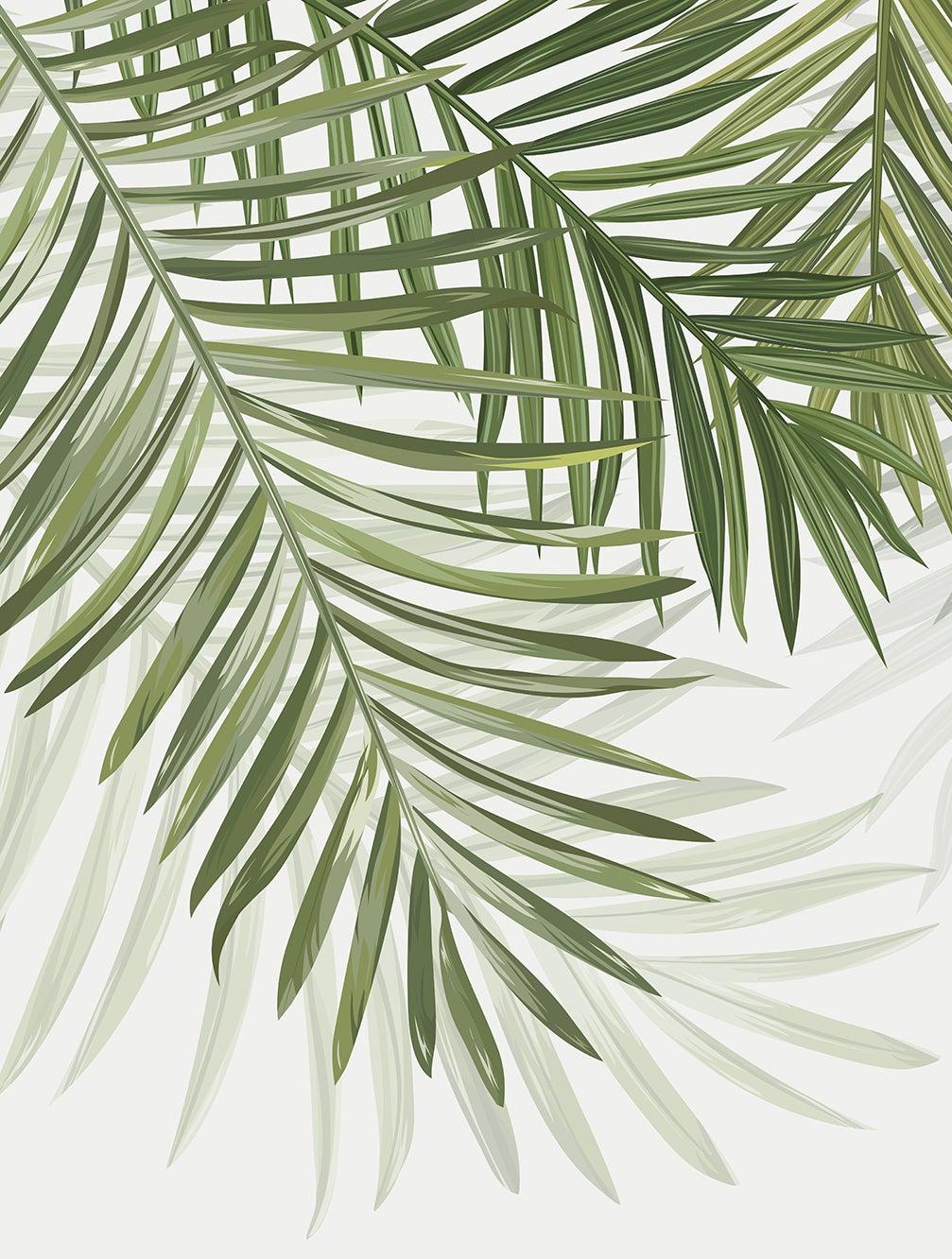 Papier peint feuillage vert feuilles de palmier