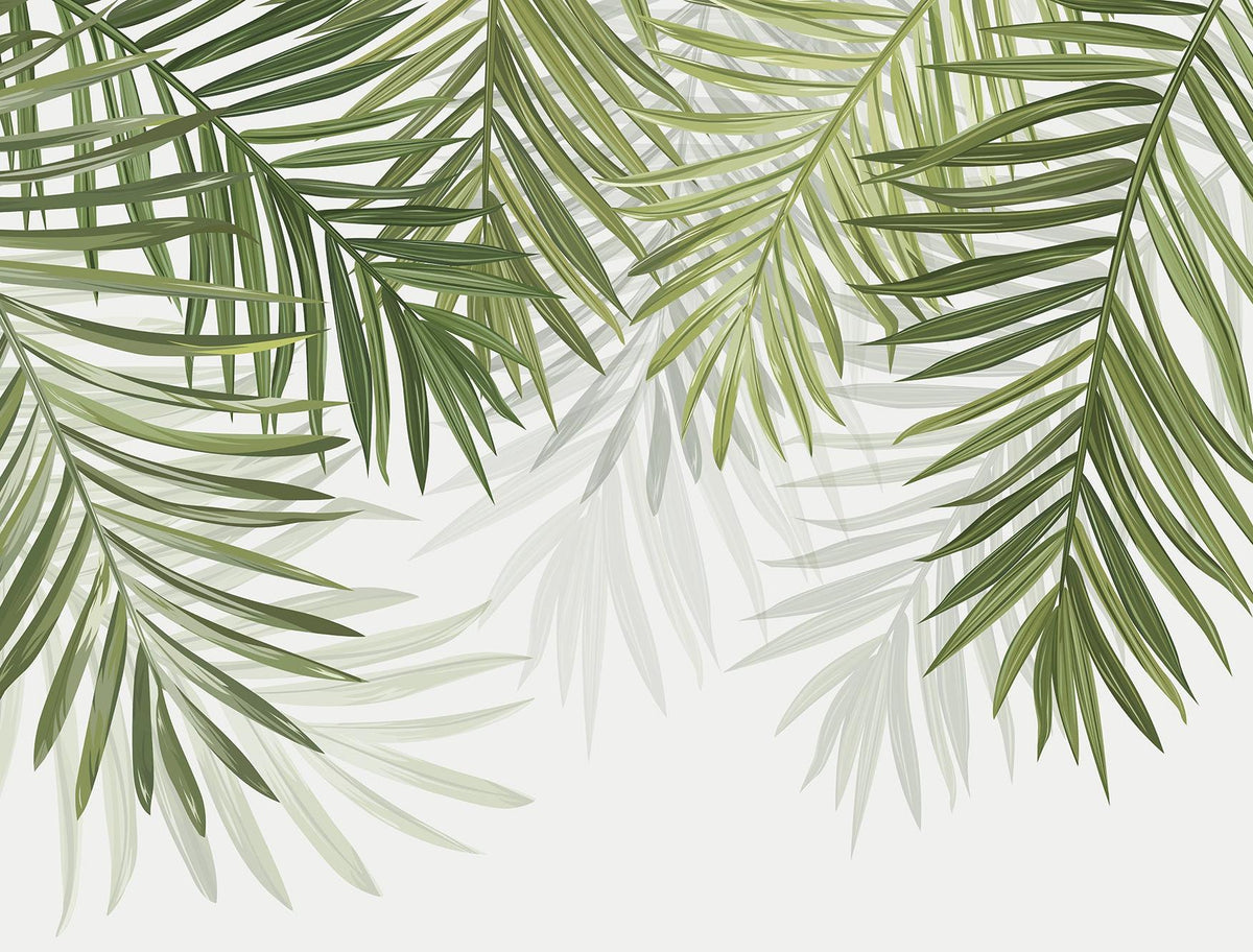 Papier peint feuillage vert feuilles de palmier