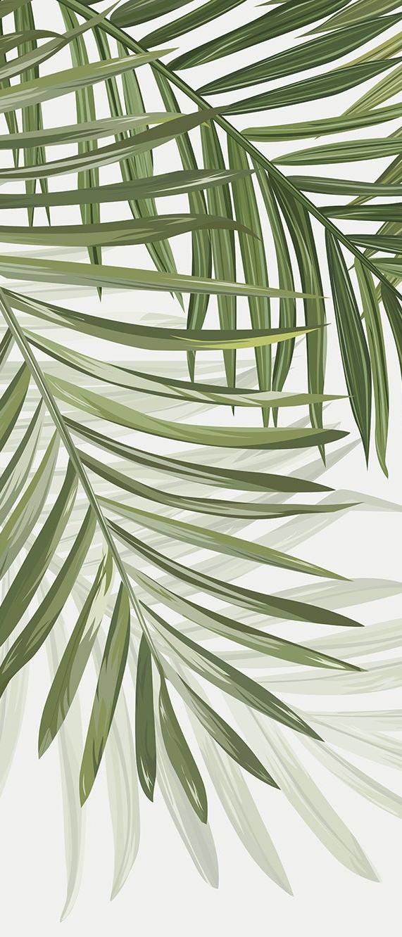 Papier peint feuillage vert feuilles de palmier