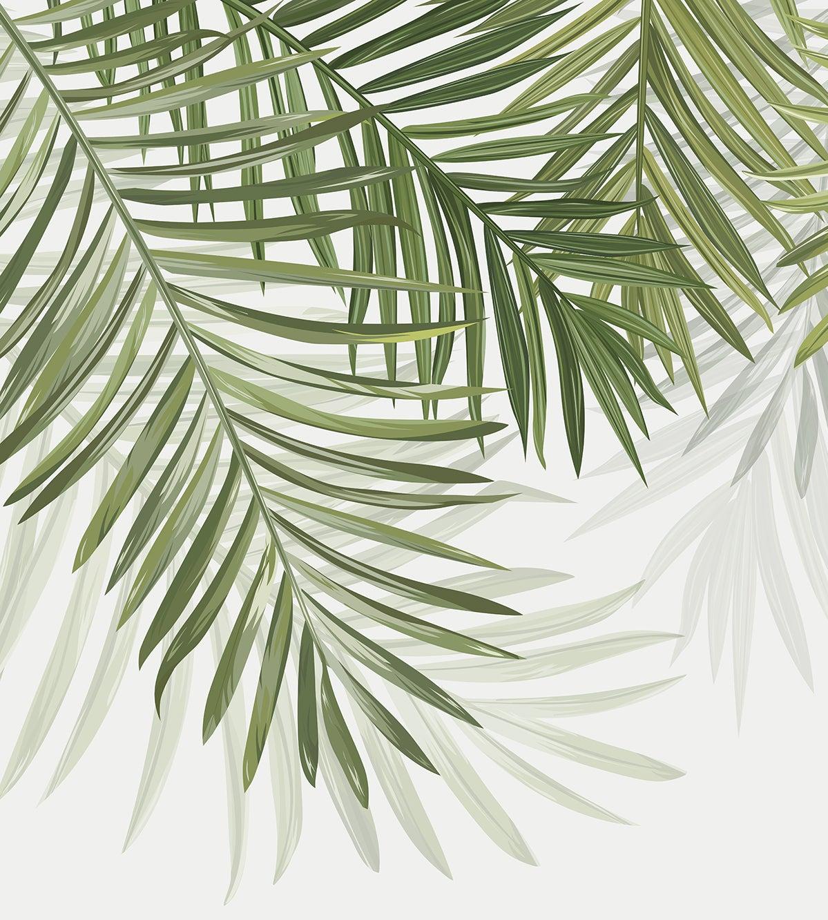 Papier peint feuillage vert feuilles de palmier