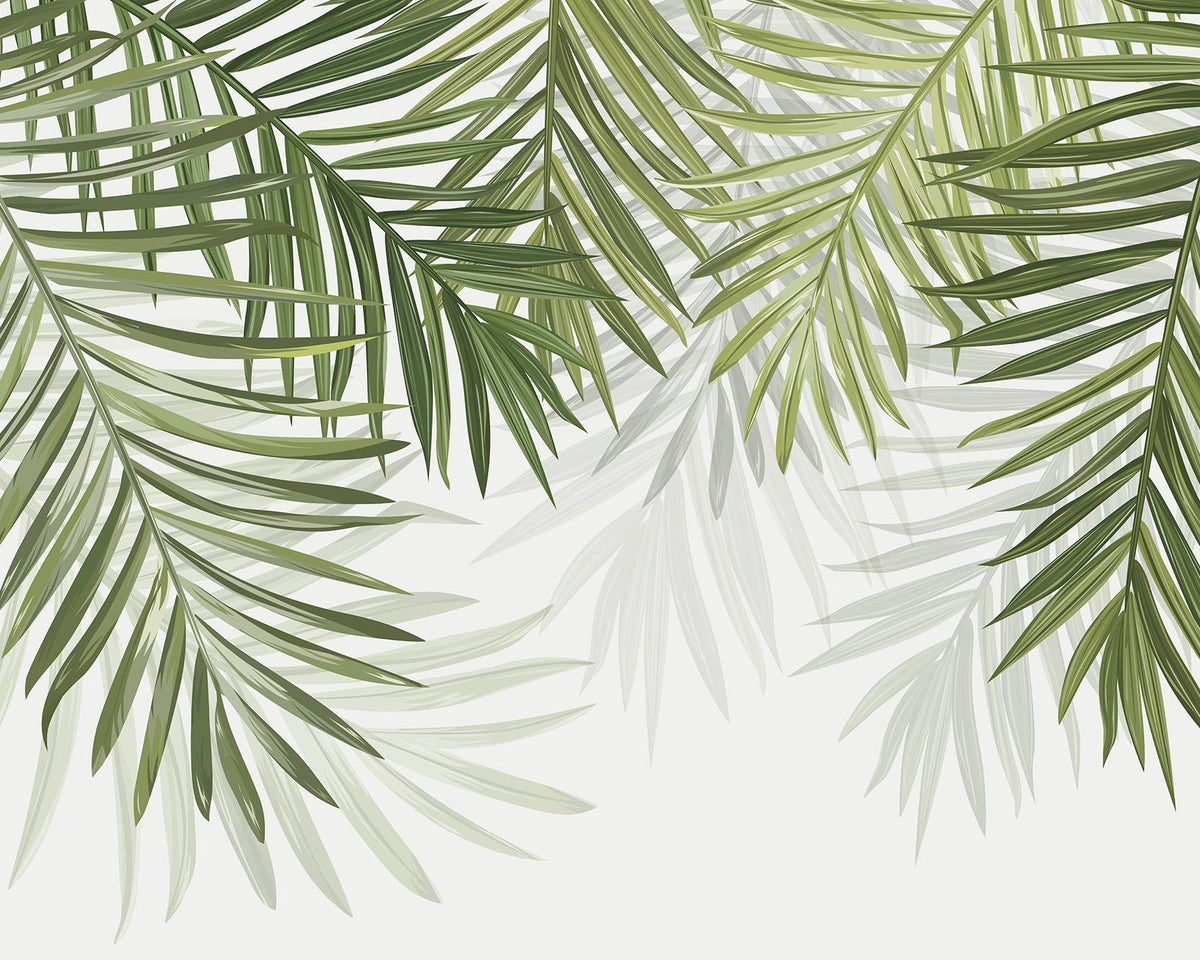 Papier peint feuillage vert feuilles de palmier