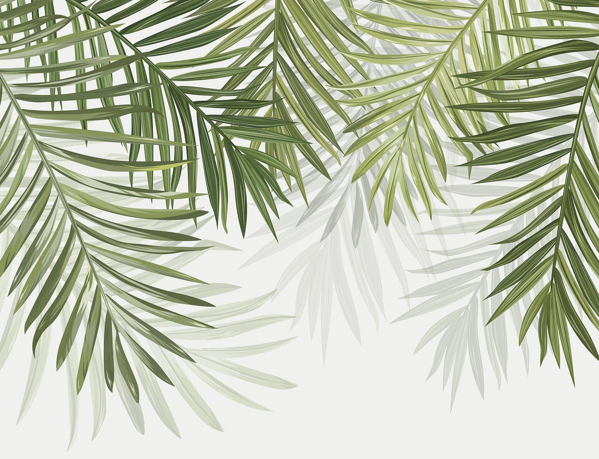 Papier peint feuillage vert feuilles de palmier