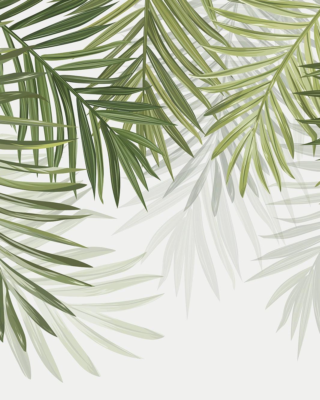 Papier peint feuillage vert feuilles de palmier