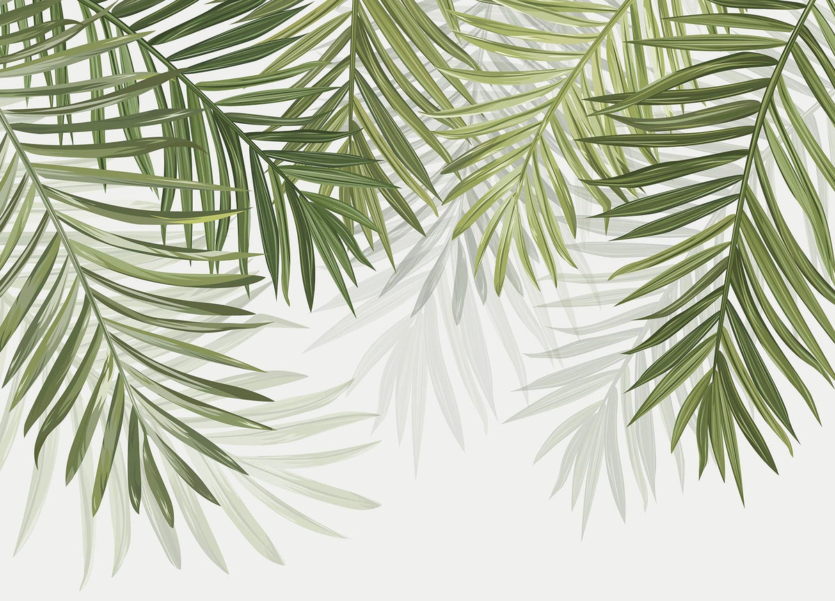 Papier peint feuillage vert feuilles de palmier