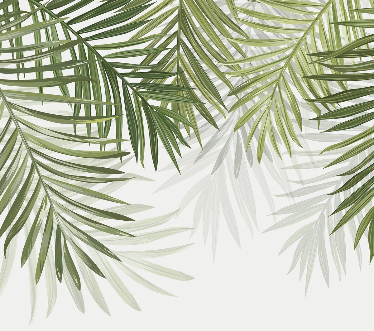 Papier peint feuillage vert feuilles de palmier