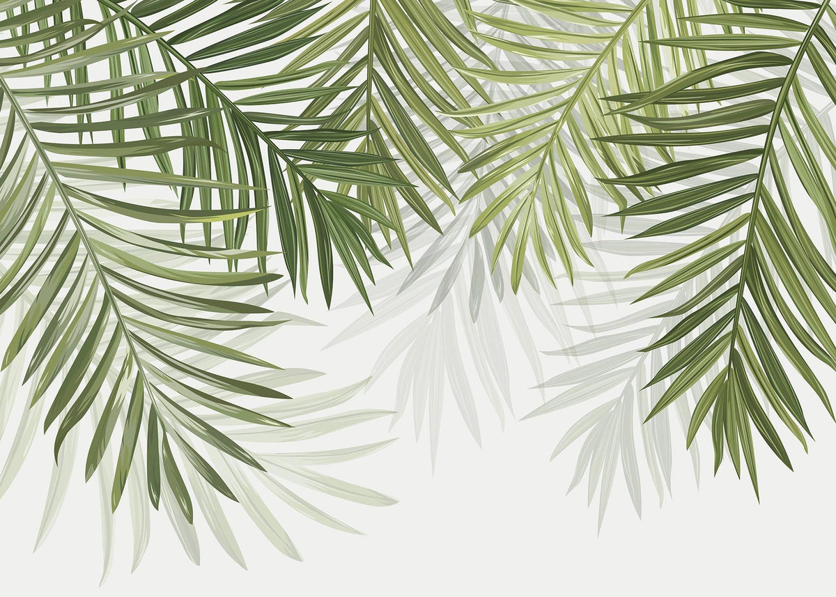 Papier peint feuillage vert feuilles de palmier